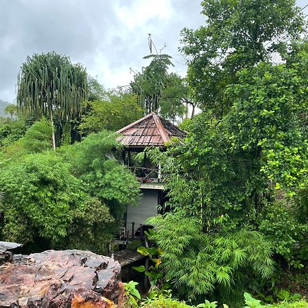 Khaosok Farmstay Khao Sok National Park 외부 사진