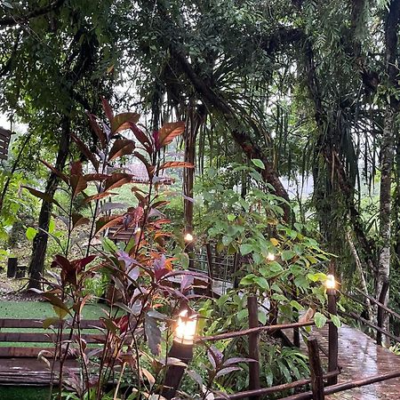 Khaosok Farmstay Khao Sok National Park 외부 사진