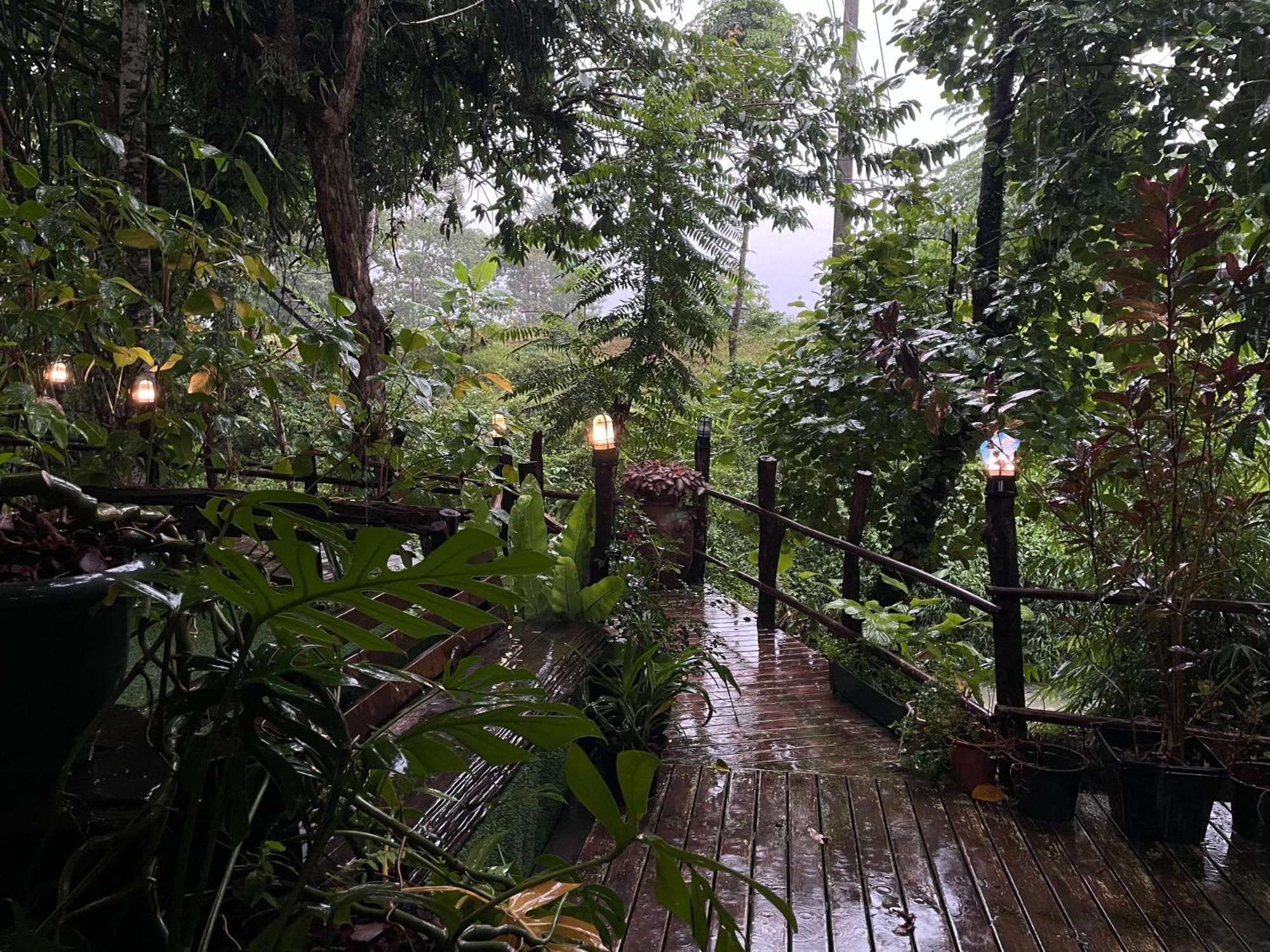 Khaosok Farmstay Khao Sok National Park 외부 사진